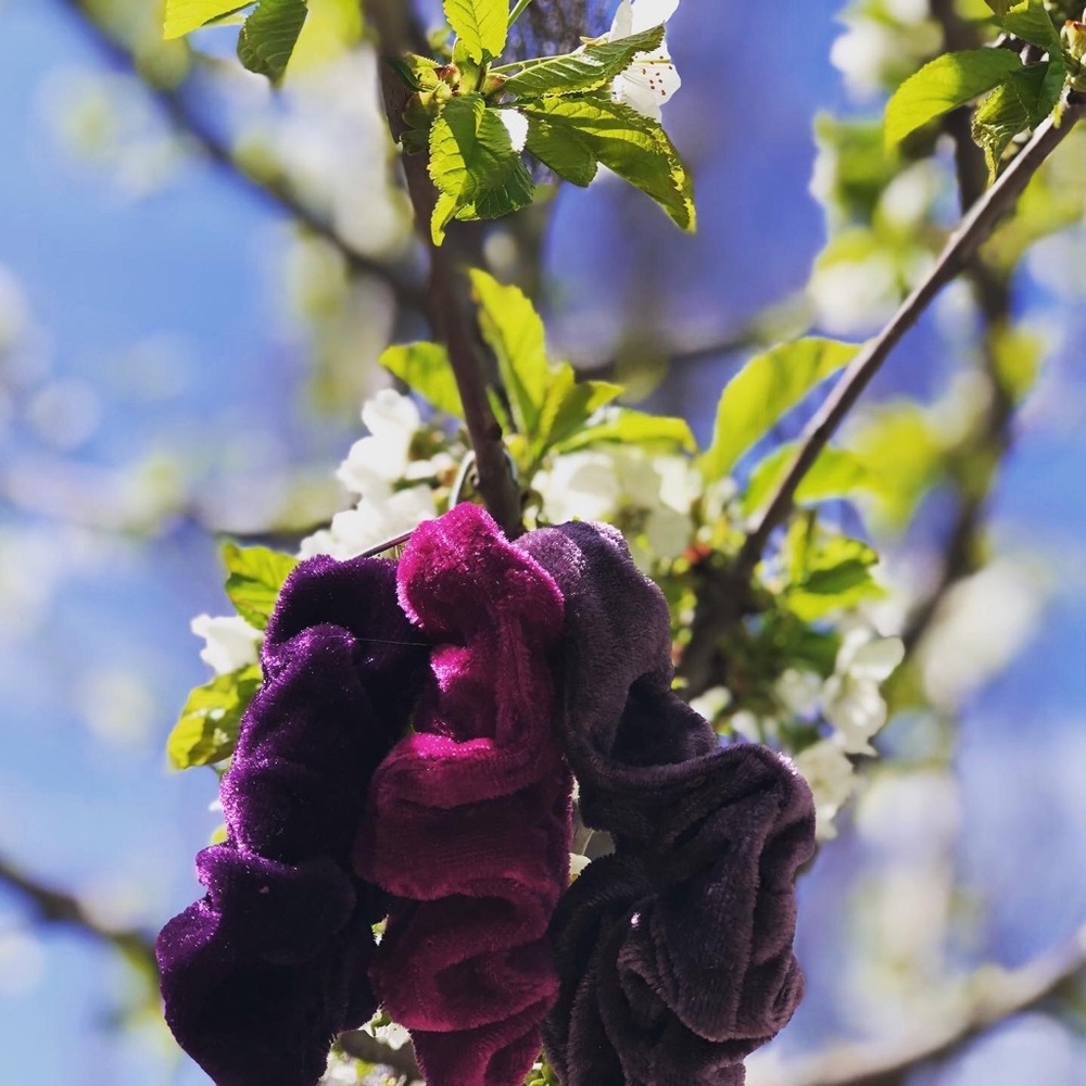 Velvet scrunches!!!